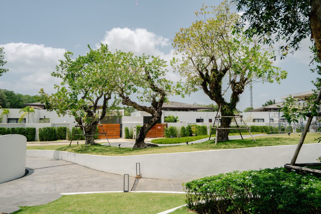 Do Green Spaces Reduce Stress? | Landscape Design by BOLA Phuket