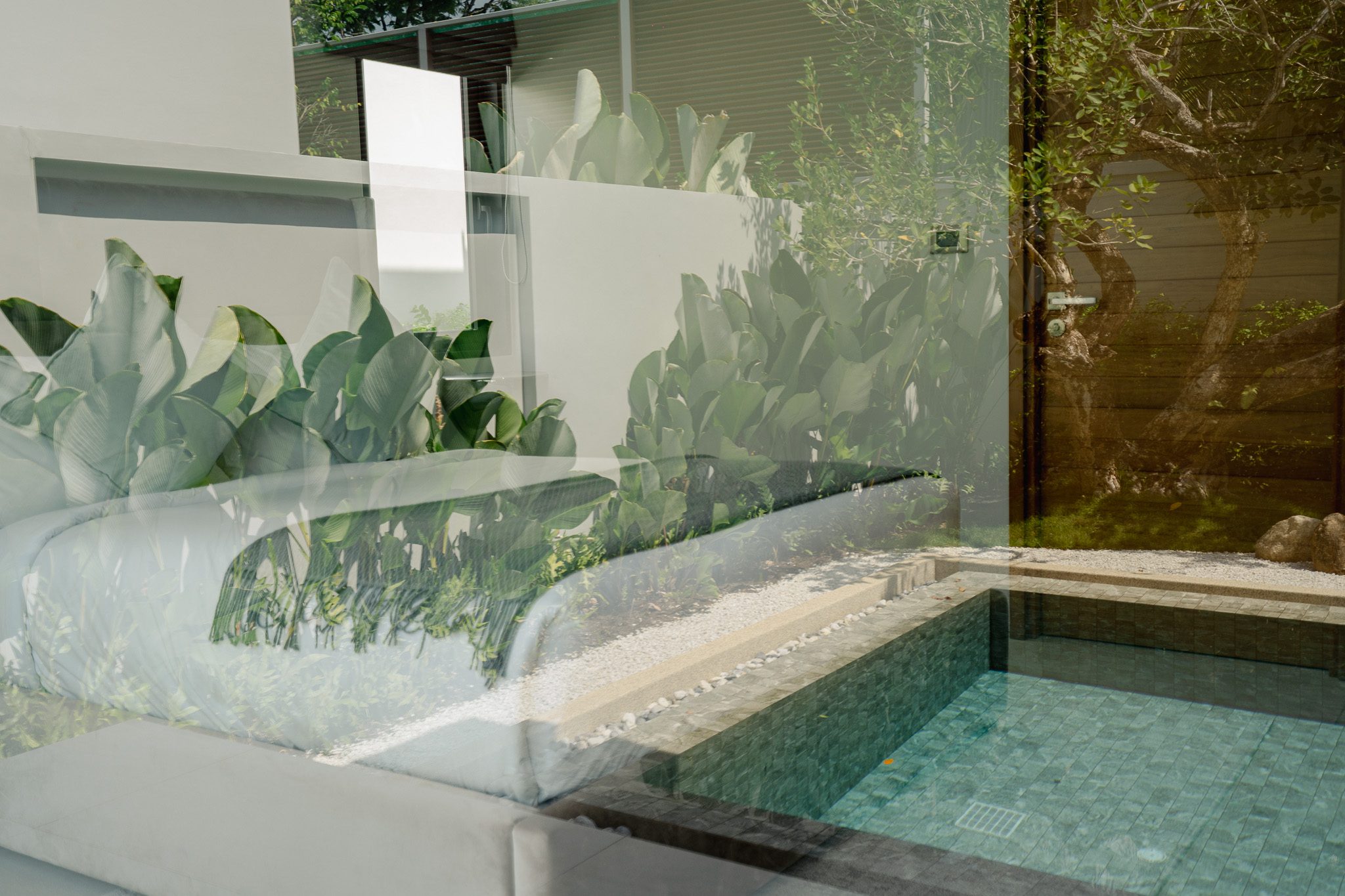 Premium Landscape Details in Phuket