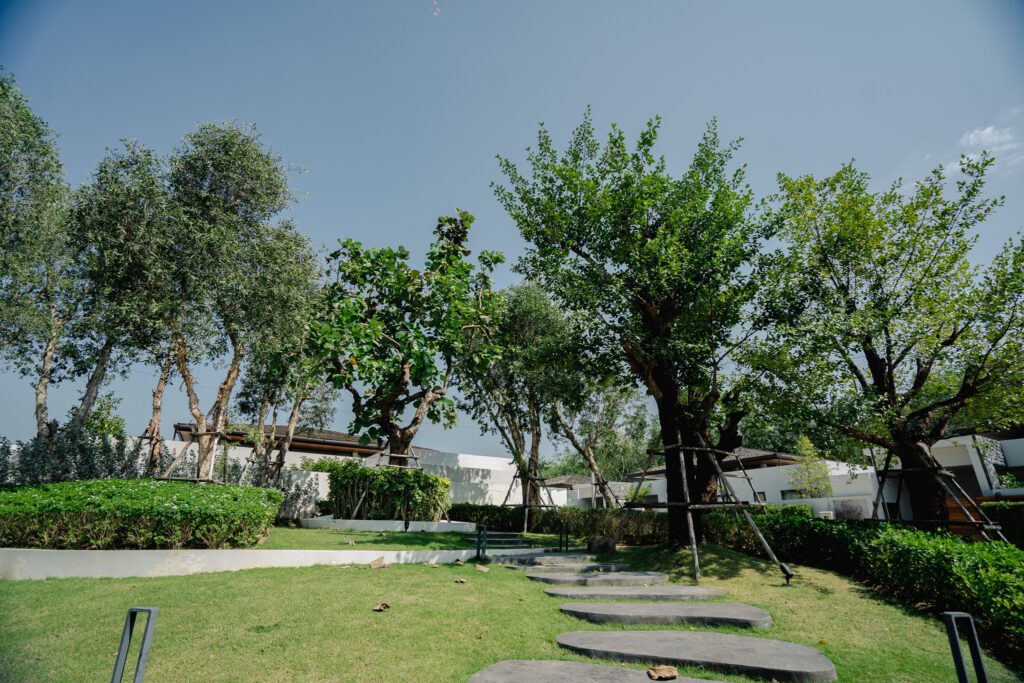 Do Green Spaces Reduce Stress? | Landscape Design by BOLA Phuket